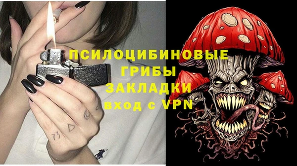 гашик Волоколамск