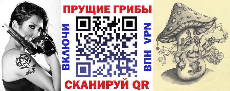 где купить наркоту  Дубна  Псилоцибиновые грибы прущие грибы 